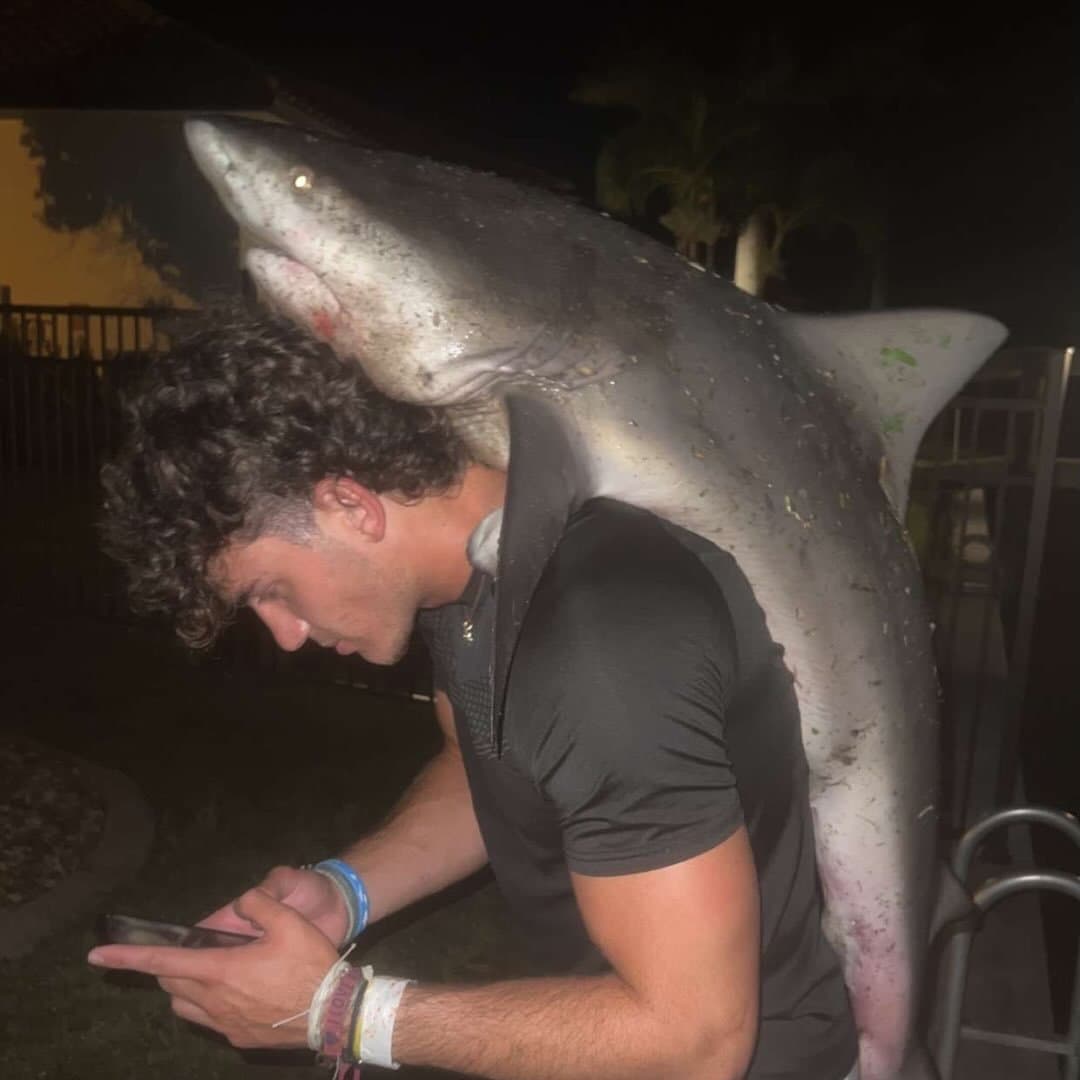 Man looks at his phone with a large shark draped over his shoulders at night.